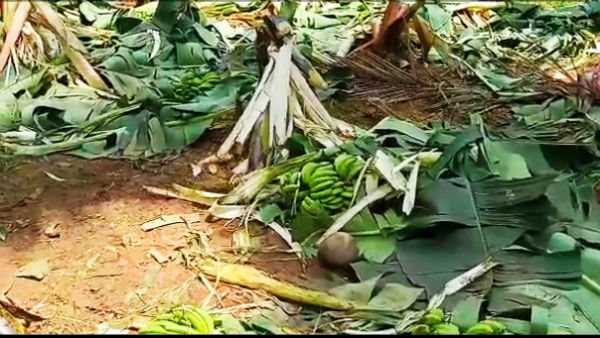 Ramanagar: Singarajipura Villagers Demand Solution To Elephants Attack