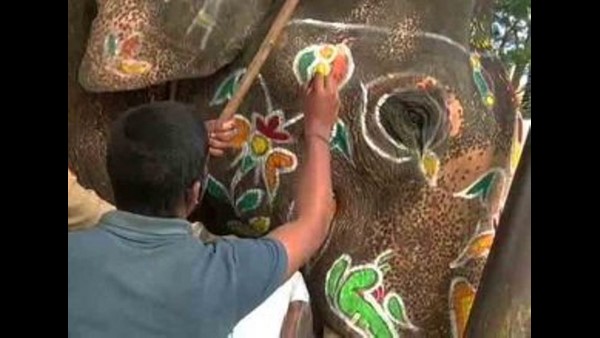 ಆನೆಗೆ ನೋವಾಗದಂತೆ ತಡೆಯುವ ಉಡುಗೆ