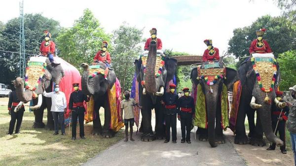  ಗಜಪಡೆಗೆ ಹಿರಿಯಜ್ಜಿ ವಿಜಯ