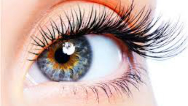  ಕಣ್ಣಿನ ಮಹತ್ವ ಅರಿಯಲೇಬೇಕು