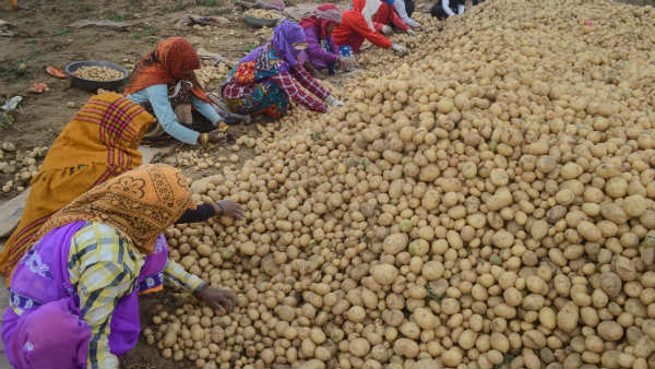 ಔಷಧಿಗಳ ಮೂಲಕ ನಿಯಂತ್ರಣ