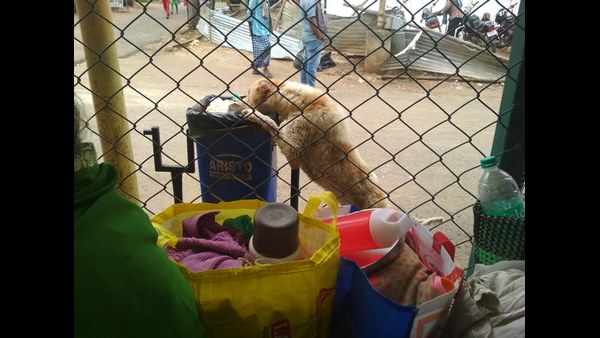 ಕ್ರಮ ಕೈಗೊಳ್ಳದ ಅಧಿಕಾರಿಗಳು ಕ್ರಮ ಕೈಗೊಳ್ಳದ ಅಧಿಕಾರಿಗಳು