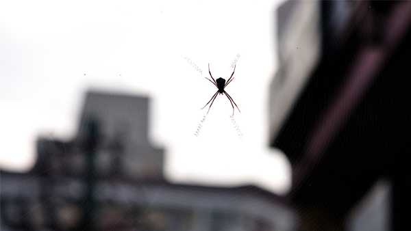 ಪ್ರಶಸ್ತಿ ಸುತ್ತಿಗೆ ಆಯ್ಕೆಯಾದ ಚಿತ್ರ ನೋಡಿ ಪ್ರಶಸ್ತಿ ಸುತ್ತಿಗೆ ಆಯ್ಕೆಯಾದ ಚಿತ್ರ ನೋಡಿ