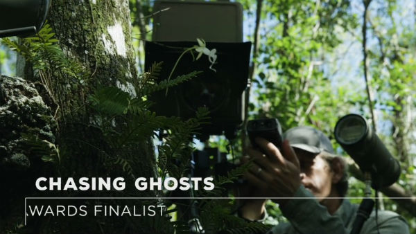 ಅಕಾಶಿಂಗಾ: ದಿ ಬ್ರೇವ್ ಒನ್ಸ್