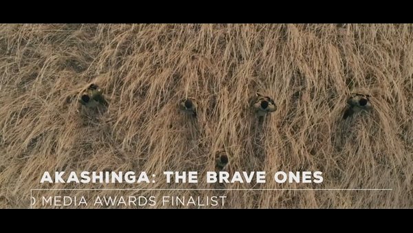 ಪ್ರಶಸ್ತಿಗಳ ಪಟ್ಟಿ