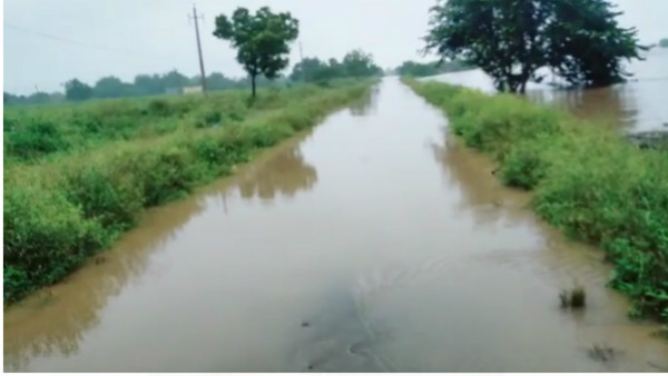 Bhima River Flood: DC V.V Jyothsna emergency meeting with officials 