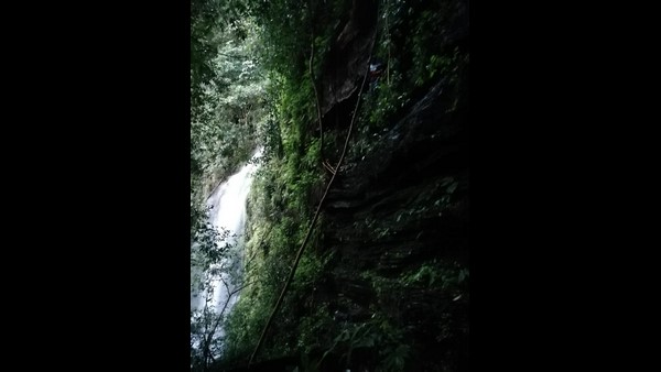 Shivamogga: Medical Student Stranded On Cliff At Hidlumane Waterfalls Rescued