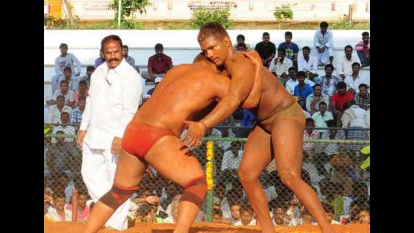 ಪೈಲ್ವಾನರಿಗೆ ಅವರದ್ದೇ ಆದ ಗೌರವವಿದೆ