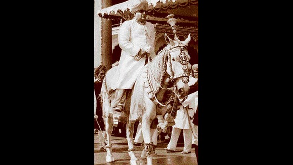  ಸುಂದರವಾಗಿ ಕಂಗೊಳಿಸುತ್ತಿದ್ದ ಗಜಪಡೆ