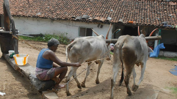  ಗಾಣಗಳಿಗೆ ಏಳೆಂಟು ದಶಗಳ ಇತಿಹಾಸ
