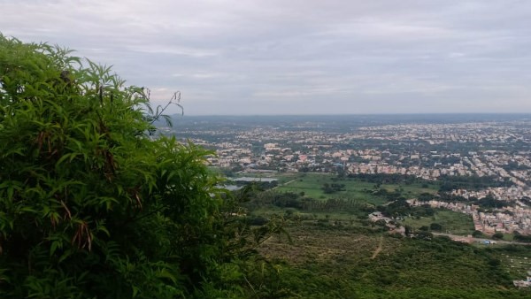 ಸಾಮಾಜಿಕ ಅಂತರವನ್ನೂ ಕಾಯ್ದುಕೊಳ್ಳುತ್ತಿಲ್ಲ