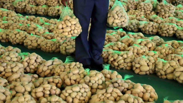 ರೋಗದ ಹತೋಟಿ ಹೇಗೆ?