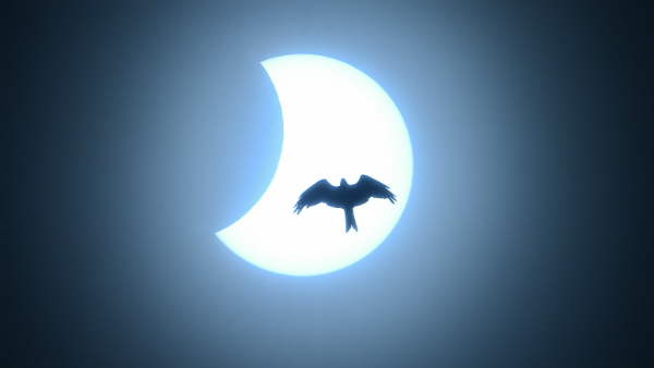 ಸೂರ್ಯಗ್ರಹಣದ ನಂತರ ಕೊರೊನಾದಿಂದ ಮುಕ್ತಿ 