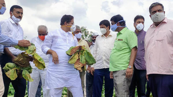 ಬೆಳೆಹಾನಿ ವೀಕ್ಷಣೆ ಮಾಡಿದ ಸಚಿವರು