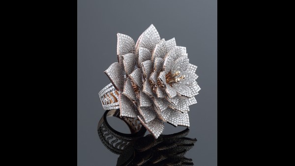 Indian Jeweller Achieves Guinness World Record For Most Diamonds Set in One Ring! 