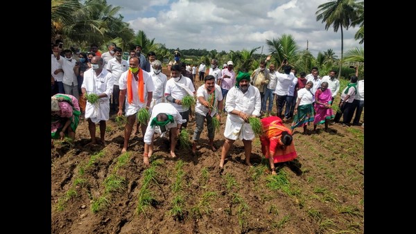 ರೈತರ ಶಕ್ತಿಗಾಗಿ ದಿನ ರೈತರ ಶಕ್ತಿಗಾಗಿ ದಿನ