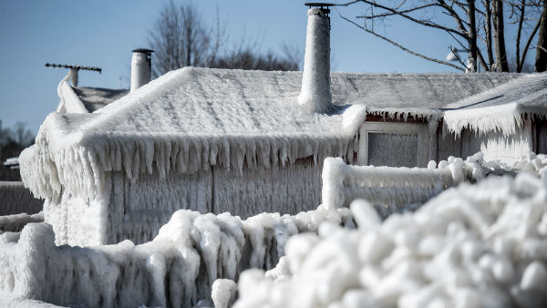 ಮಿಂಕ್‌ ಸಾಕಾಣಿಕೆ ಬಹುದೊಡ್ಡ ಉದ್ಯೋಗ ಒದಗಿಸಿದೆ 