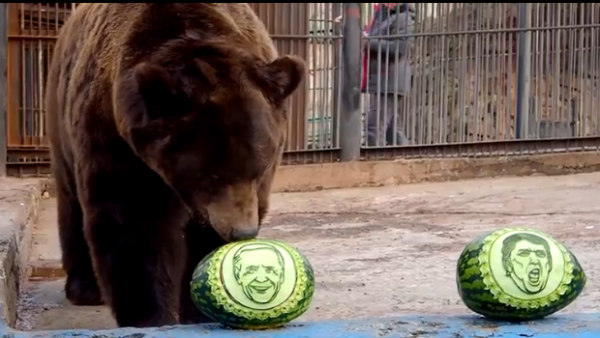 ಅಧ್ಯಕ್ಷರಾಗಲು ಎಷ್ಟು ಬಹುಮತ ಅಗತ್ಯ..?