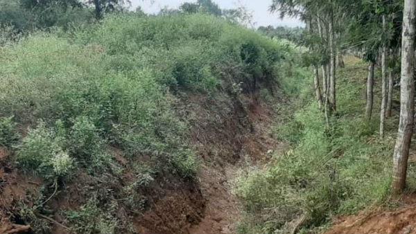 ಅರಣ್ಯದಲ್ಲಿ ಮುಚ್ಚಿಹೋದ ಕಂದಕ 