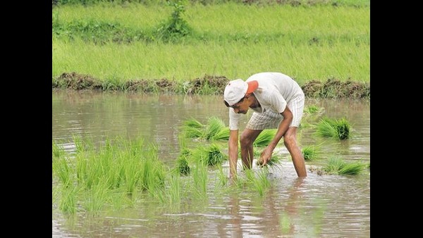  ಯೋಜನೆಯಡಿಯಲ್ಲಿ ಜಿಲ್ಲೆಯ 1.64 ಲಕ್ಷ ರೈತರು 