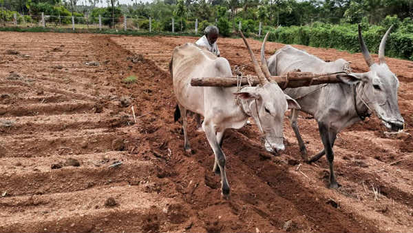 ಅಂತಿಮ ದಿನಾಂಕದ ವಿವರ