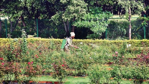 ಮುಂದಿನ ತಿಂಗಳು ಬಟಾನಿಕಲ್ ಗಾರ್ಡನ್‌ ಉದ್ಘಾಟನೆ 