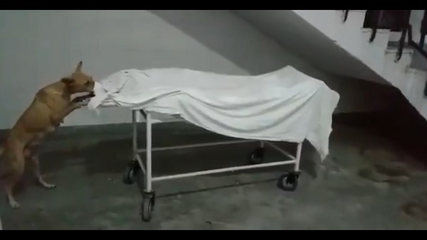 ವ್ಯಾಪಕ ಆಕ್ರೋಶ ವ್ಯಾಪಕ ಆಕ್ರೋಶ