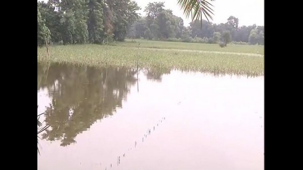 ರೈತರಿಗೆ ಕಿಲುಬು ಕಾಸಿನ ಪರಿಹಾರ