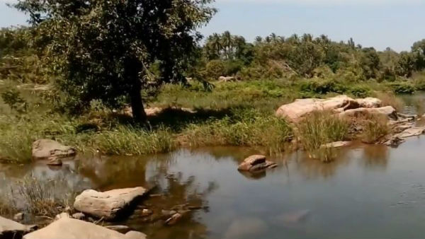 ಎಲ್ಲೆಂದರಲ್ಲಿ ರಾಶಿಬಿದ್ದ ಖಾಲಿ ಬಾಟಲಿಗಳು