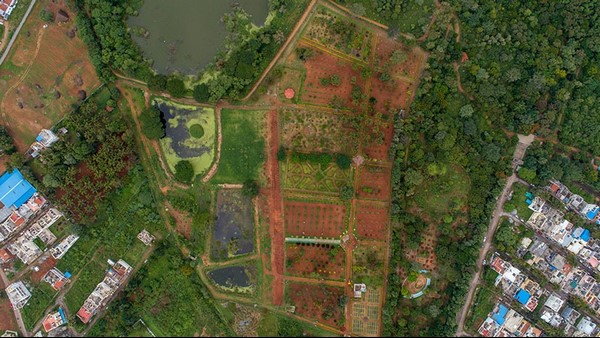 ಹೂವುಗಳು ಮತ್ತು ಸಸ್ಯ ಪ್ರಬೇಧಗಳು