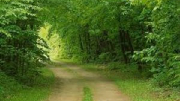  Controlling Mind And Thoughts Is Not Easy Task