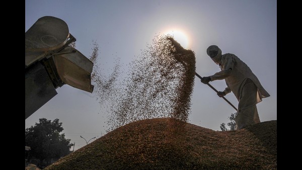  ಭತ್ತಕ್ಕೆ ಗರಿಷ್ಠ ಮಿತಿ