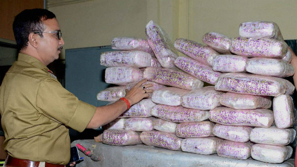 ಹಿಮಾಚಲದಲ್ಲಿ 60 ಸಾವಿರ ಕೆ.ಜಿ ಗಾಂಜಾ ಬೆಳೆ 