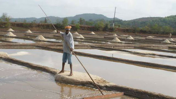 Uttara Kannada: Plans Are Being Made To Add Kumata Salt To Heritage List