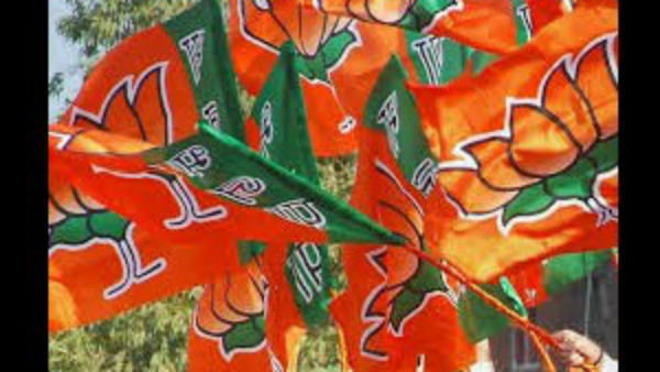 ಅಸ್ಥಿಪಂಜರಗಳು ಸಿಗುತ್ತವೆ