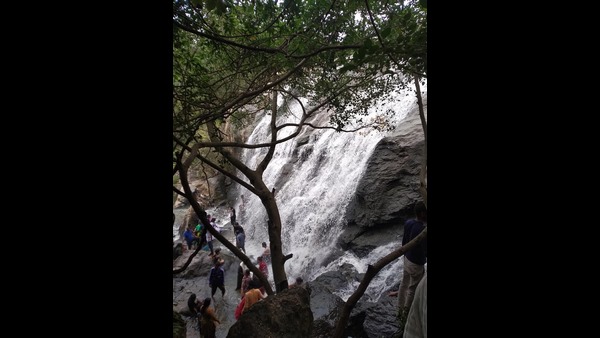 ನಿರ್ಜನ ಪ್ರದೇಶದಲ್ಲಿ ಫಲಕಗಳು