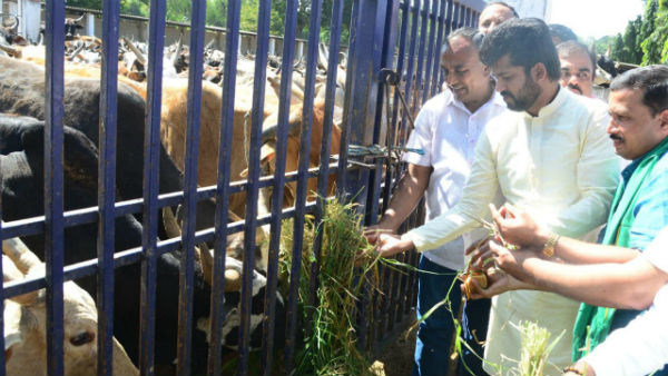 ಗೋ ಹತ್ಯೆ ನಿಷೇಧ ಕಾಯ್ದೆ