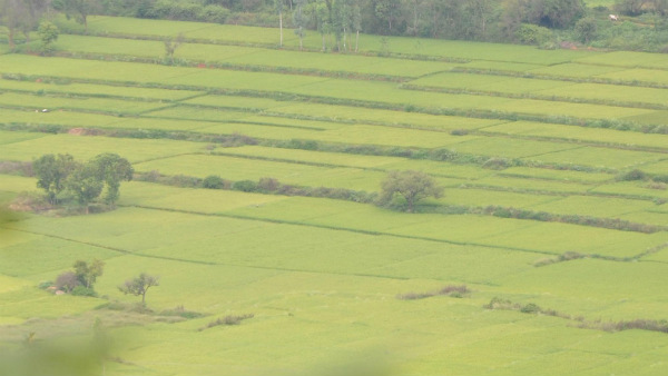 ಕಣ್ಮನ ತಣಿಸುವ ಸುಂದರ ನೋಟ