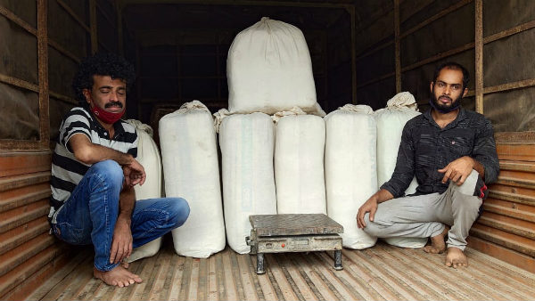 Two drug peddlers arrest, seized 214 KG marijuana