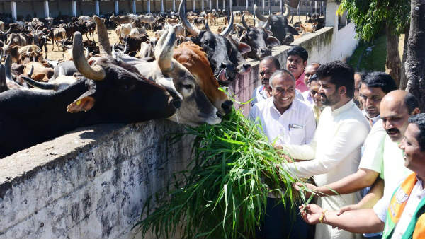 ದೇಶದ ಮುಂದಿನ ಭವಿಷ್ಯ ಅವರಿಗೆ ಗೊತ್ತಿಲ್ಲ 