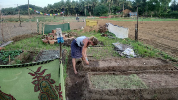 ಸಾವಯವ ಕೃಷಿ 
