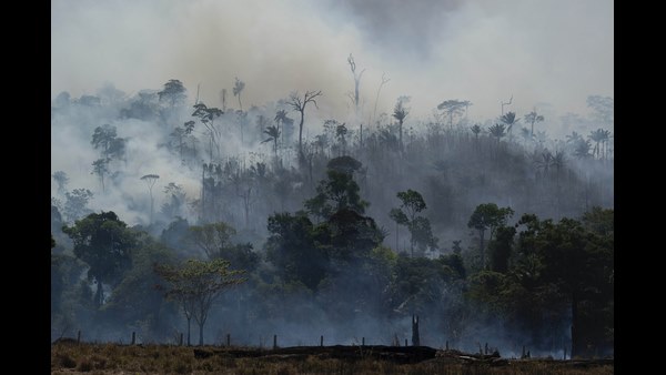 ಲಾಭಕ್ಕಾಗಿ ಬಂಡವಾಳಿಗರ ಫೈಟಿಂಗ್..!