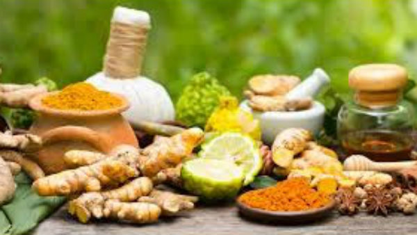 ಆಯುರ್ವೆದ ಶಲ್ಯತಂತ್ರ ಅಧ್ಯಯನ 