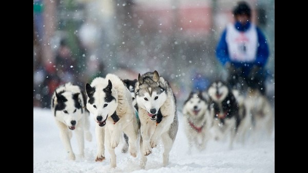 ಚಳಿ ಚಳಿ ತುಂಬಾ ಚಳಿ..!
