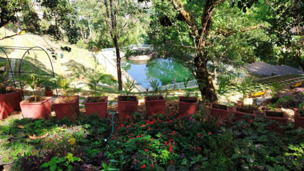 ಹೊಸ ವರ್ಷದಲ್ಲಿ ಮುಕ್ತ