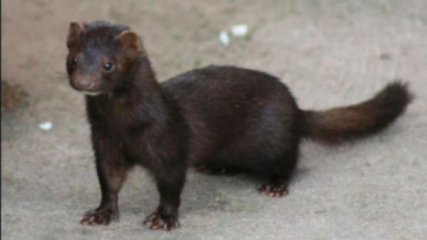 ಲಕ್ಷ ಲಕ್ಷ ಕೋಟಿ ಉದ್ಯಮ 