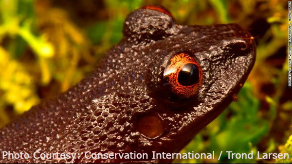 ಲಾಭಕ್ಕಾಗಿ ಬಂಡವಾಳಿಗರ ಫೈಟಿಂಗ್..!