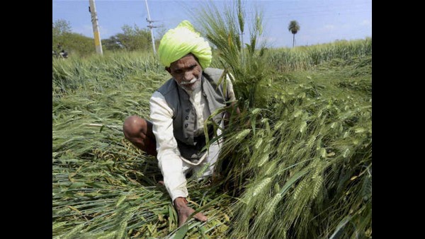 ರಾಹುಲ್ ಗಾಂಧಿ ಬಗ್ಗೆ ಮಾತು ಹರಿಬಿಟ್ಟ ಪಾಟೀಲ್ 