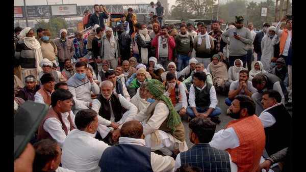  ಹಾರ್ಪ್ ಫಾರ್ಮರ್