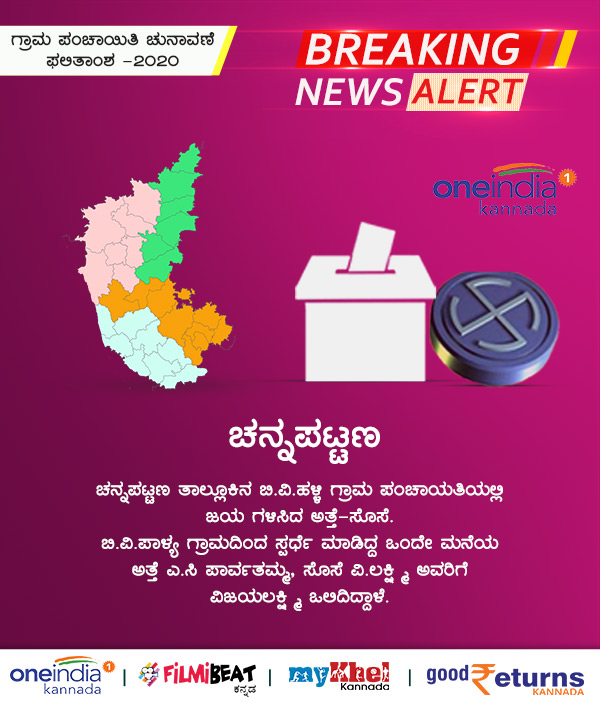 Infographics: Karnataka Gram Panchayat Election Results 2020 District Wise Updates 
